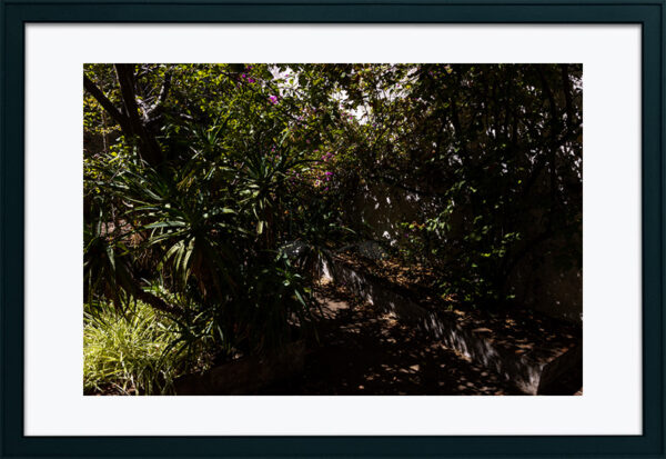 Mosteiro da Cartuxa - Foto 83