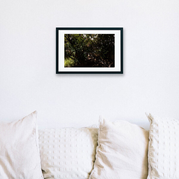 Mosteiro da Cartuxa - Foto 83