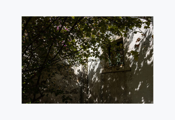 Mosteiro da Cartuxa - Foto 84