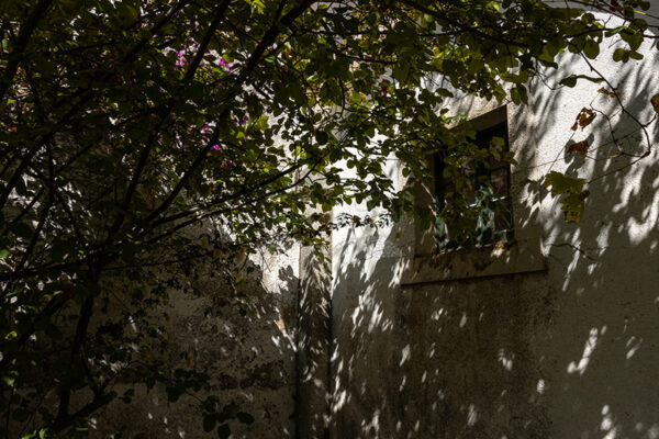 Mosteiro da Cartuxa - Foto 84