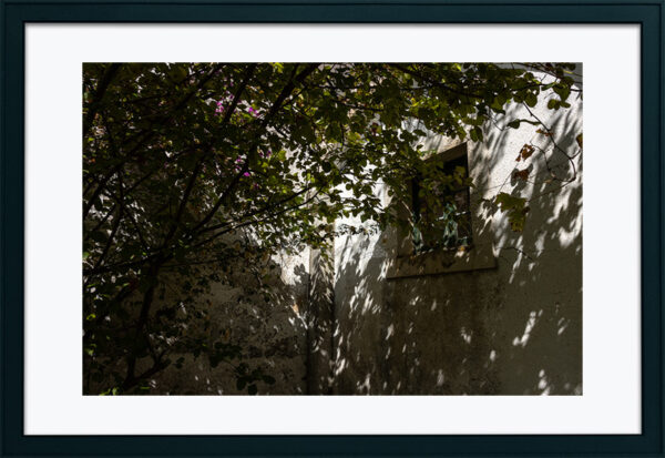 Mosteiro da Cartuxa - Foto 84