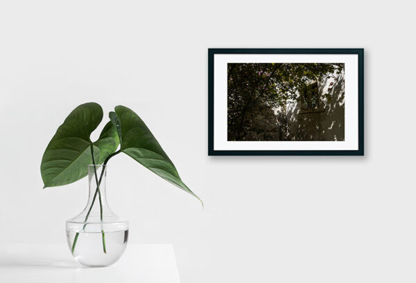 Mosteiro da Cartuxa - Foto 84