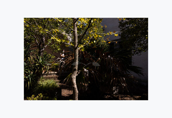 Mosteiro da Cartuxa - Foto 85