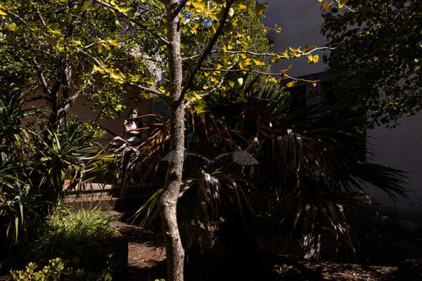 Mosteiro da Cartuxa - Foto 85