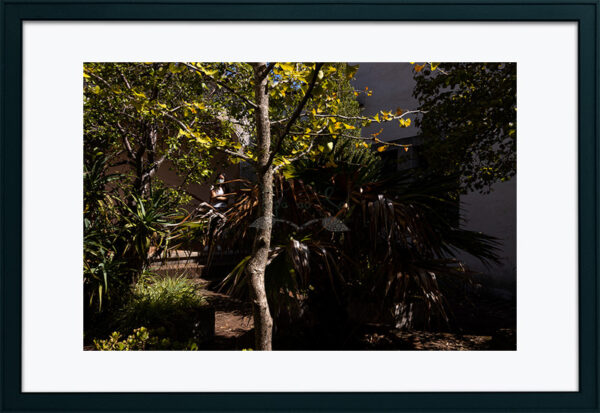 Mosteiro da Cartuxa - Foto 85