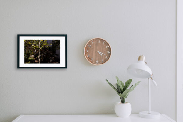 Mosteiro da Cartuxa - Foto 85