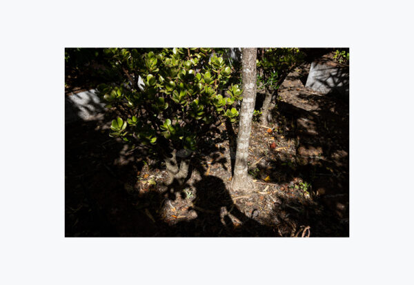 Mosteiro da Cartuxa - Foto 87