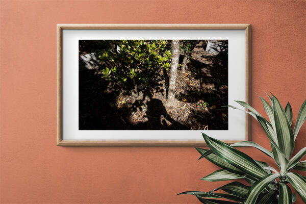 Mosteiro da Cartuxa - Foto 87