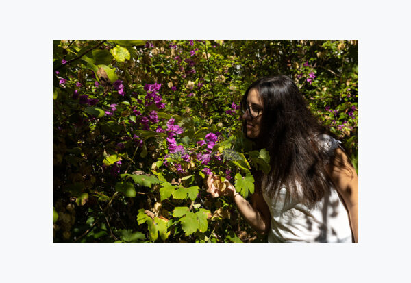 Mosteiro da Cartuxa - Foto 89