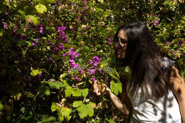 Mosteiro da Cartuxa - Foto 89