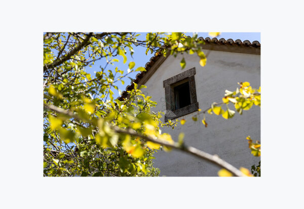 Mosteiro da Cartuxa - Foto 90