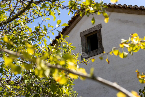 Mosteiro da Cartuxa - Foto 90