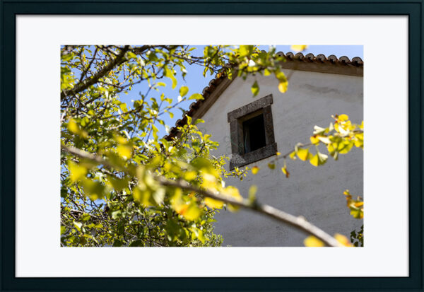 Mosteiro da Cartuxa - Foto 90