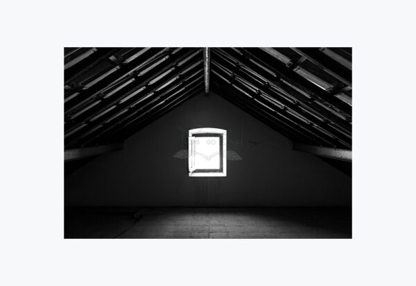 Mosteiro da Cartuxa - Foto 92