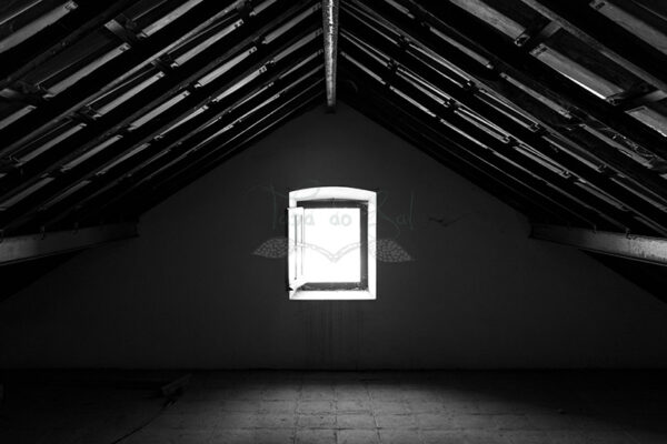 Mosteiro da Cartuxa - Foto 92