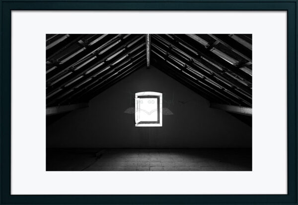 Mosteiro da Cartuxa - Foto 92