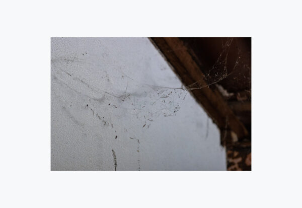 Mosteiro da Cartuxa - Foto 93