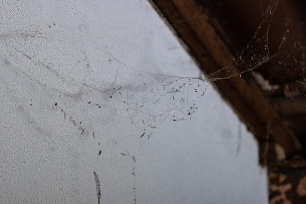 Mosteiro da Cartuxa - Foto 93