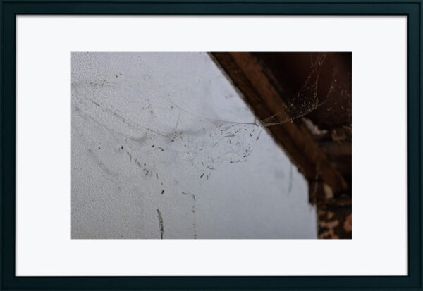 Mosteiro da Cartuxa - Foto 93