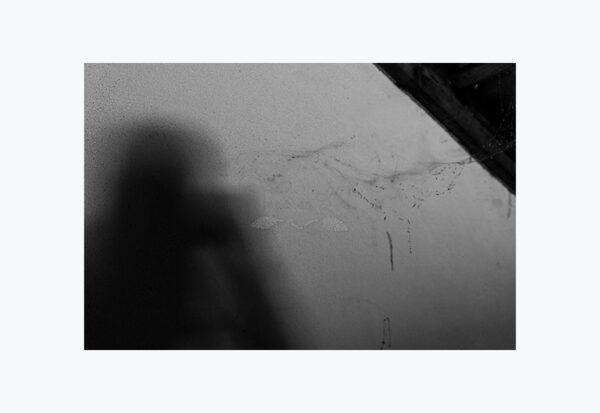 Mosteiro da Cartuxa - Foto 94