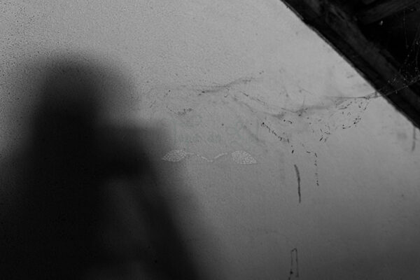 Mosteiro da Cartuxa - Foto 94