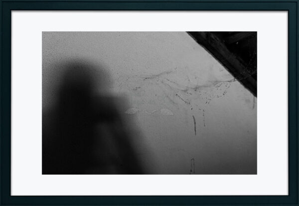 Mosteiro da Cartuxa - Foto 94