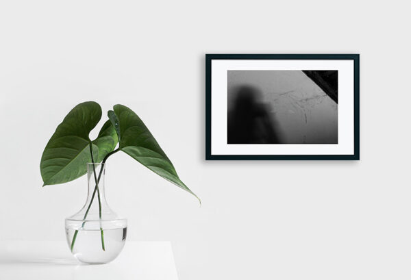 Mosteiro da Cartuxa - Foto 94