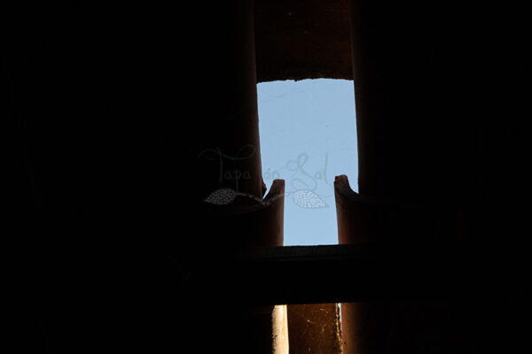 Mosteiro da Cartuxa - Foto 95