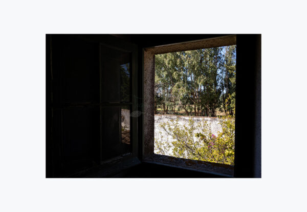 Mosteiro da Cartuxa - Foto 96