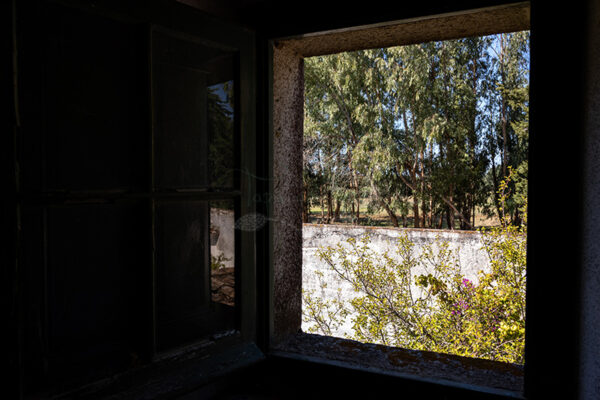 Mosteiro da Cartuxa - Foto 96