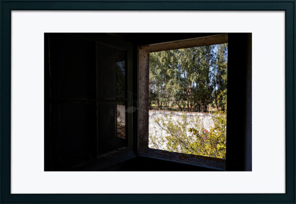 Mosteiro da Cartuxa - Foto 96