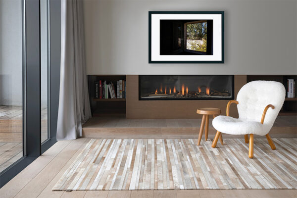 Mosteiro da Cartuxa - Foto 96