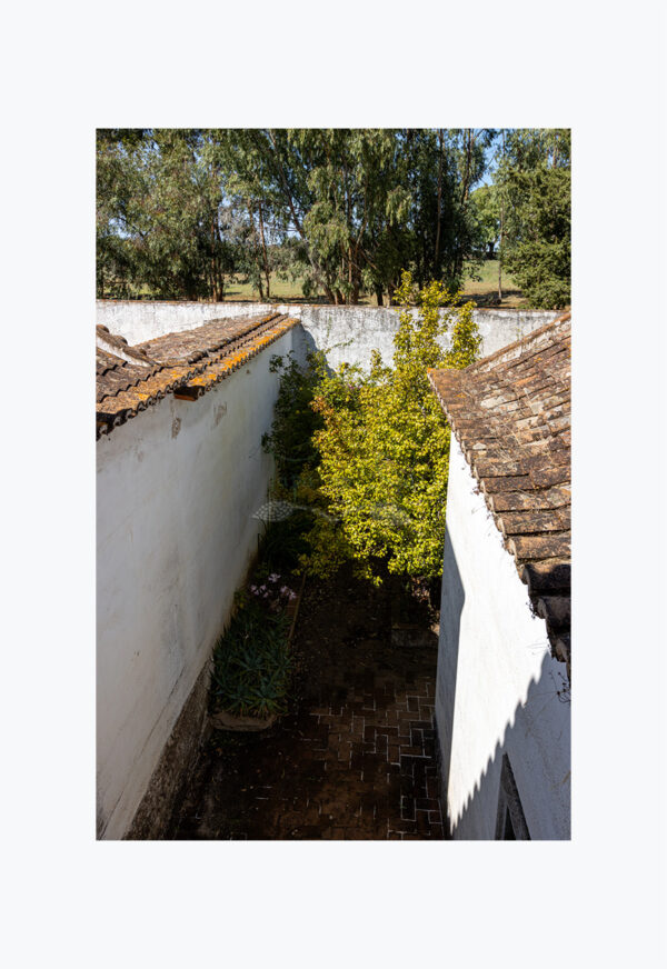 Mosteiro da Cartuxa - Foto 97