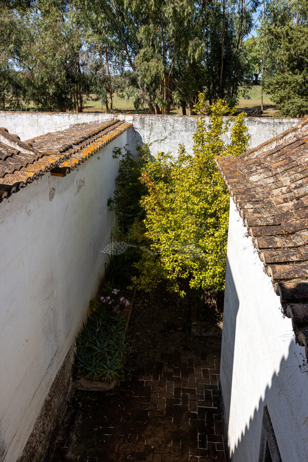 Mosteiro da Cartuxa - Foto 97