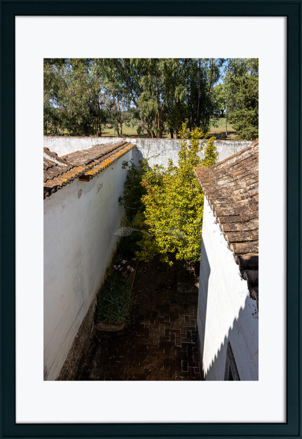 Mosteiro da Cartuxa - Foto 97