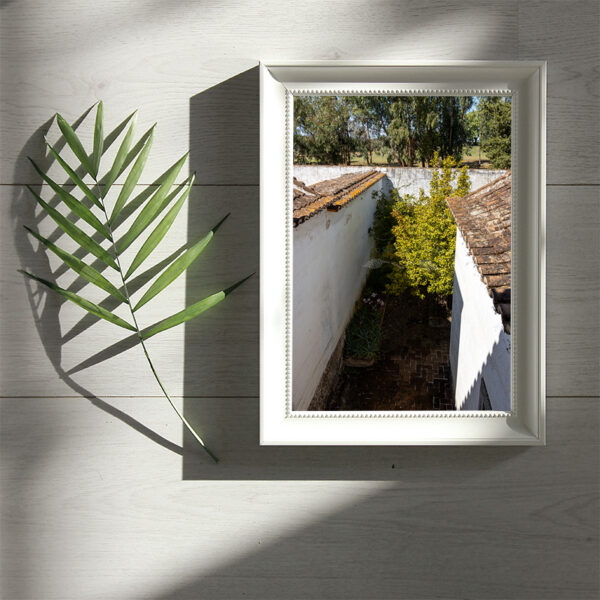 Mosteiro da Cartuxa - Foto 97