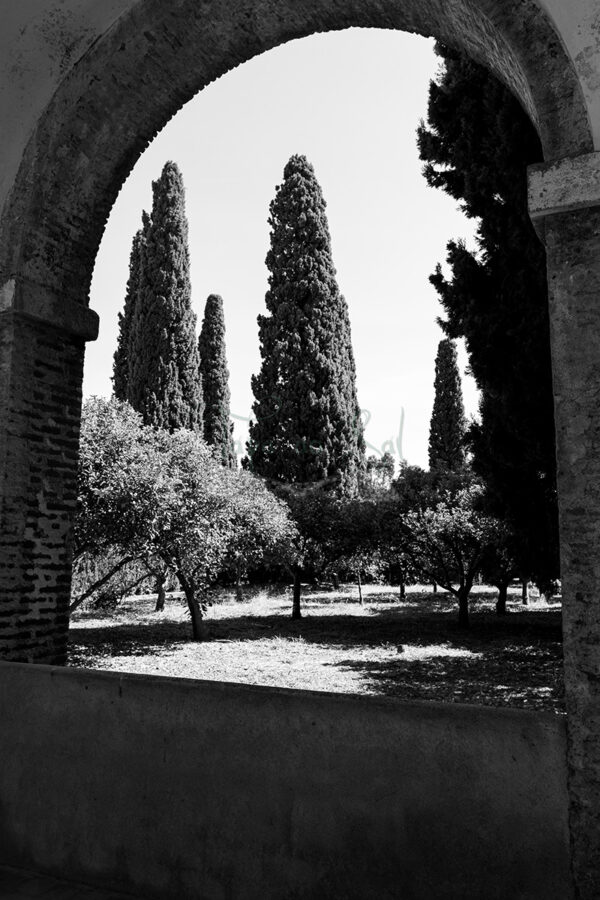 Mosteiro da Cartuxa - Foto 98