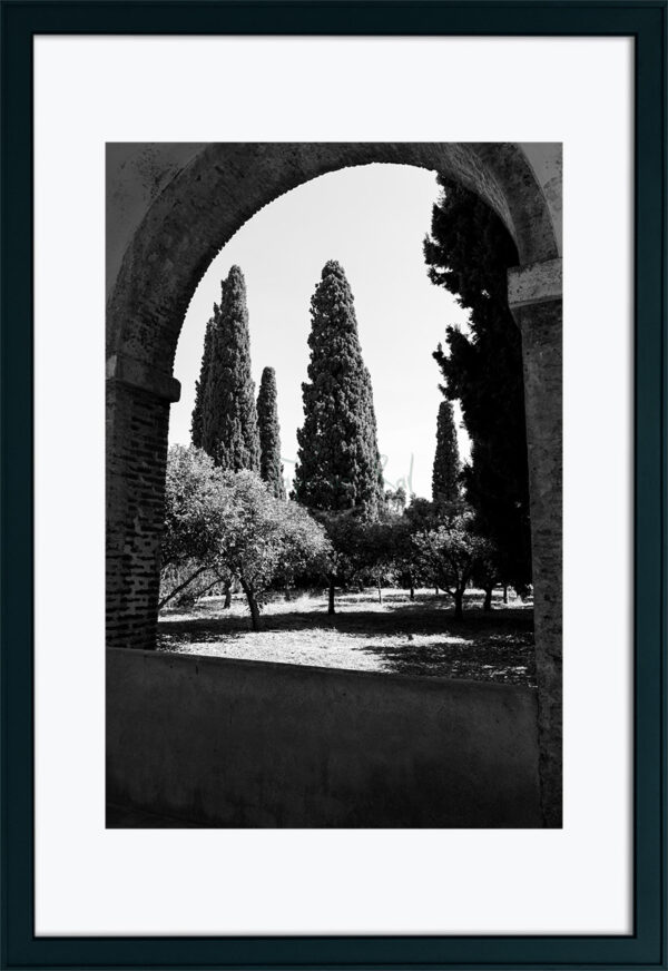 Mosteiro da Cartuxa - Foto 98