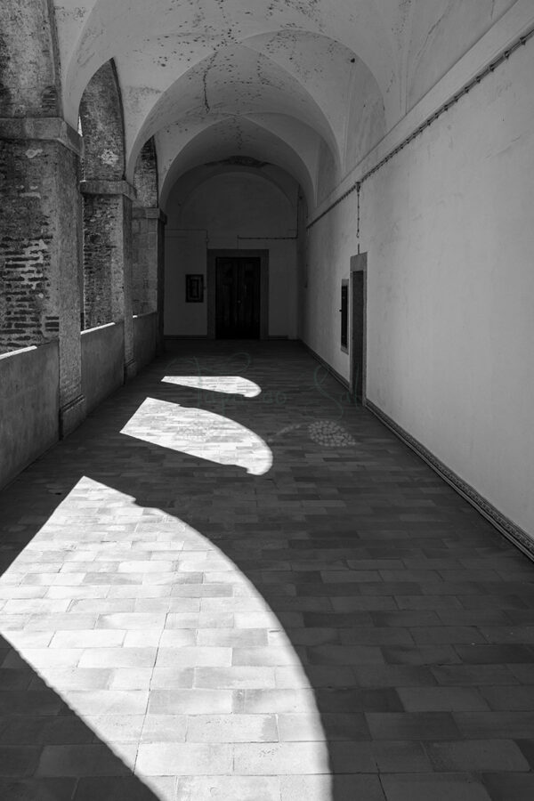 Mosteiro da Cartuxa - Foto 101