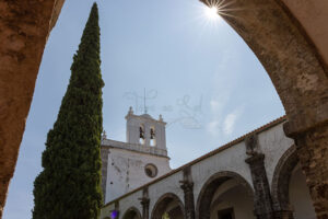 Mosteiro da Cartuxa – Foto 102