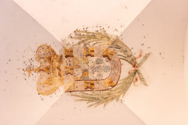 Mosteiro da Cartuxa - Foto 103