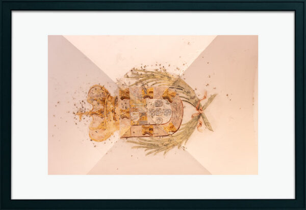 Mosteiro da Cartuxa - Foto 103