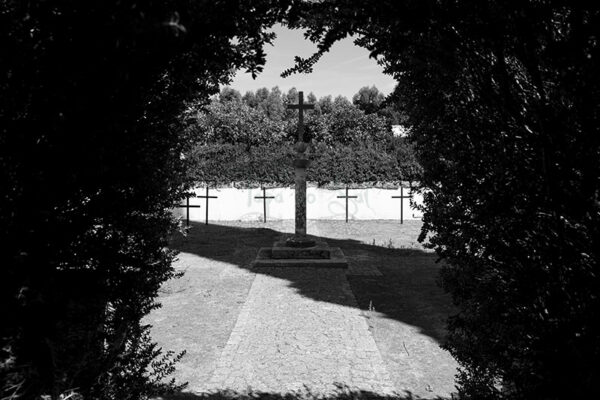 Mosteiro da Cartuxa - Foto 104