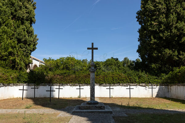 Mosteiro da Cartuxa - Foto 105