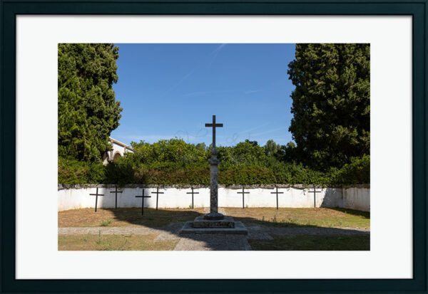 Mosteiro da Cartuxa - Foto 105