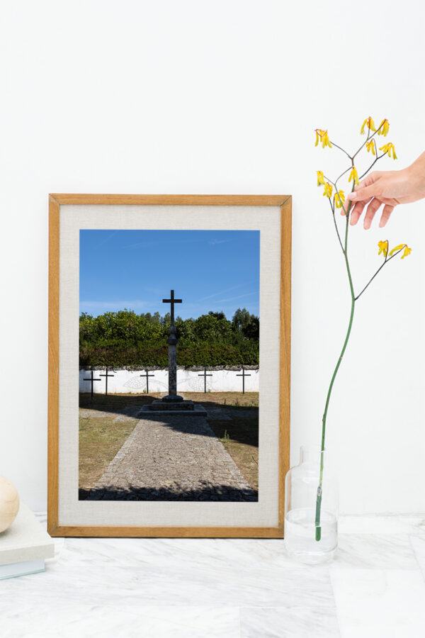 Mosteiro da Cartuxa - Foto 106