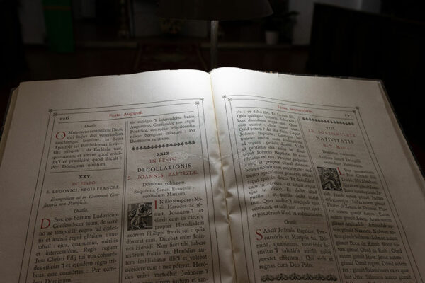 Mosteiro da Cartuxa - Foto 108