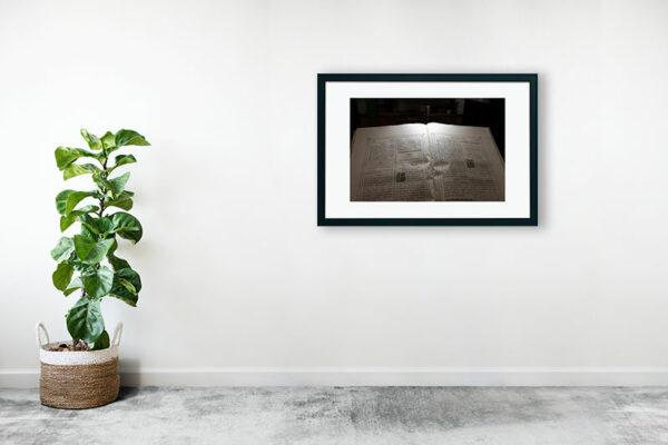 Mosteiro da Cartuxa - Foto 108