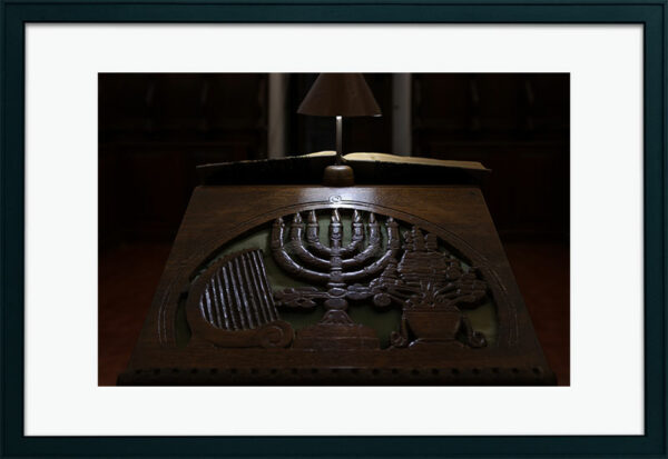 Mosteiro da Cartuxa - Foto 111