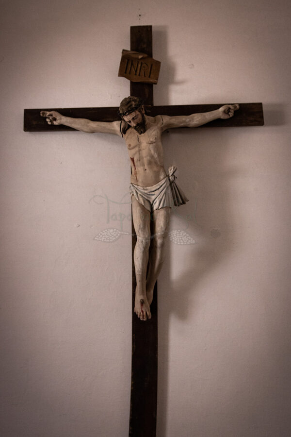 Mosteiro da Cartuxa - Foto 112